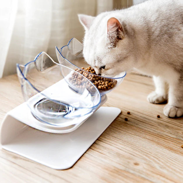 Ergonomic Cat Feeder – Practical Aussie Buys